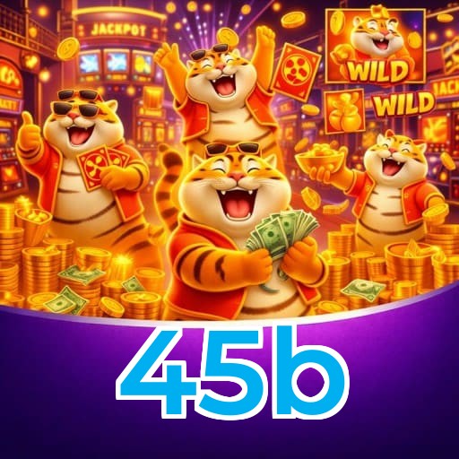 45b User Account