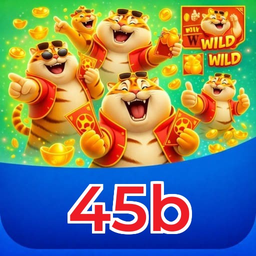 45b Secure