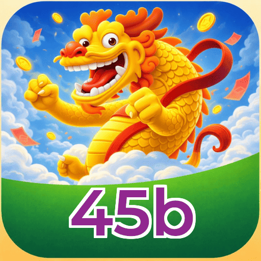 45b Gaming License