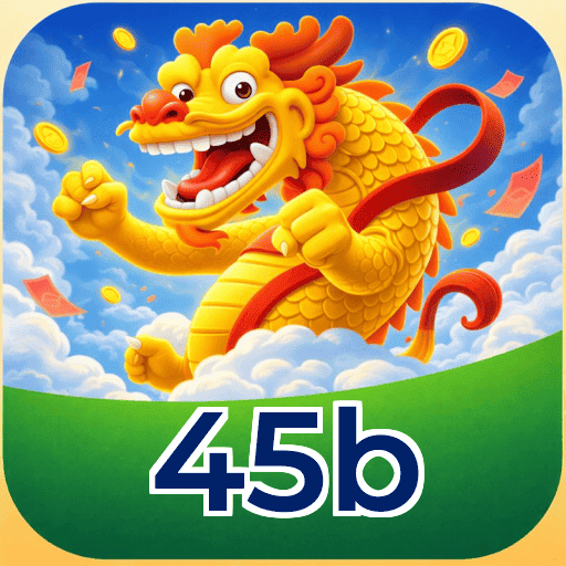 45b Official Page